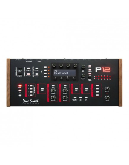 DSI Sequential Prophet 12 Module